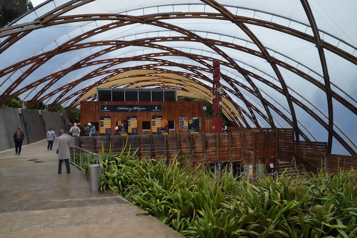 怀托摩洞穴 Waitomo black water rafting