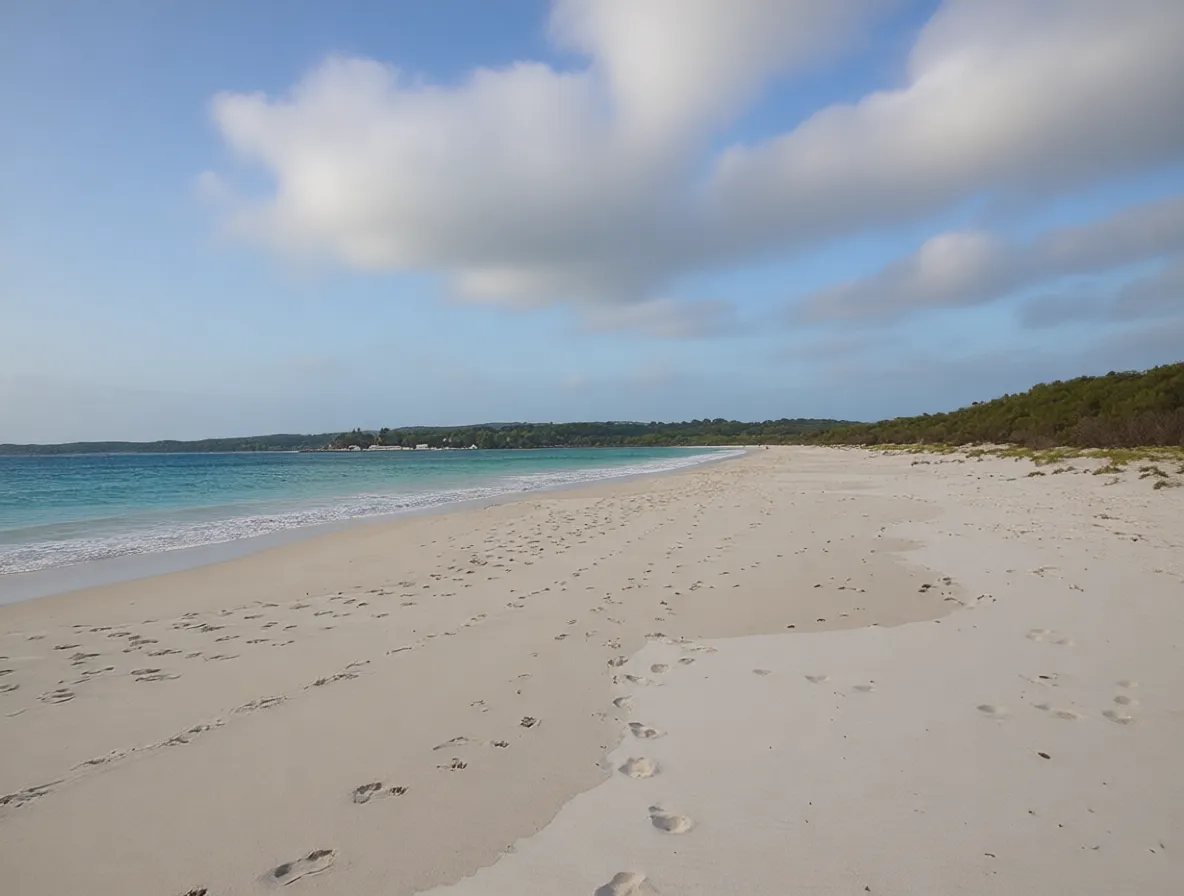 杰维斯湾 Hyams Beach white sand