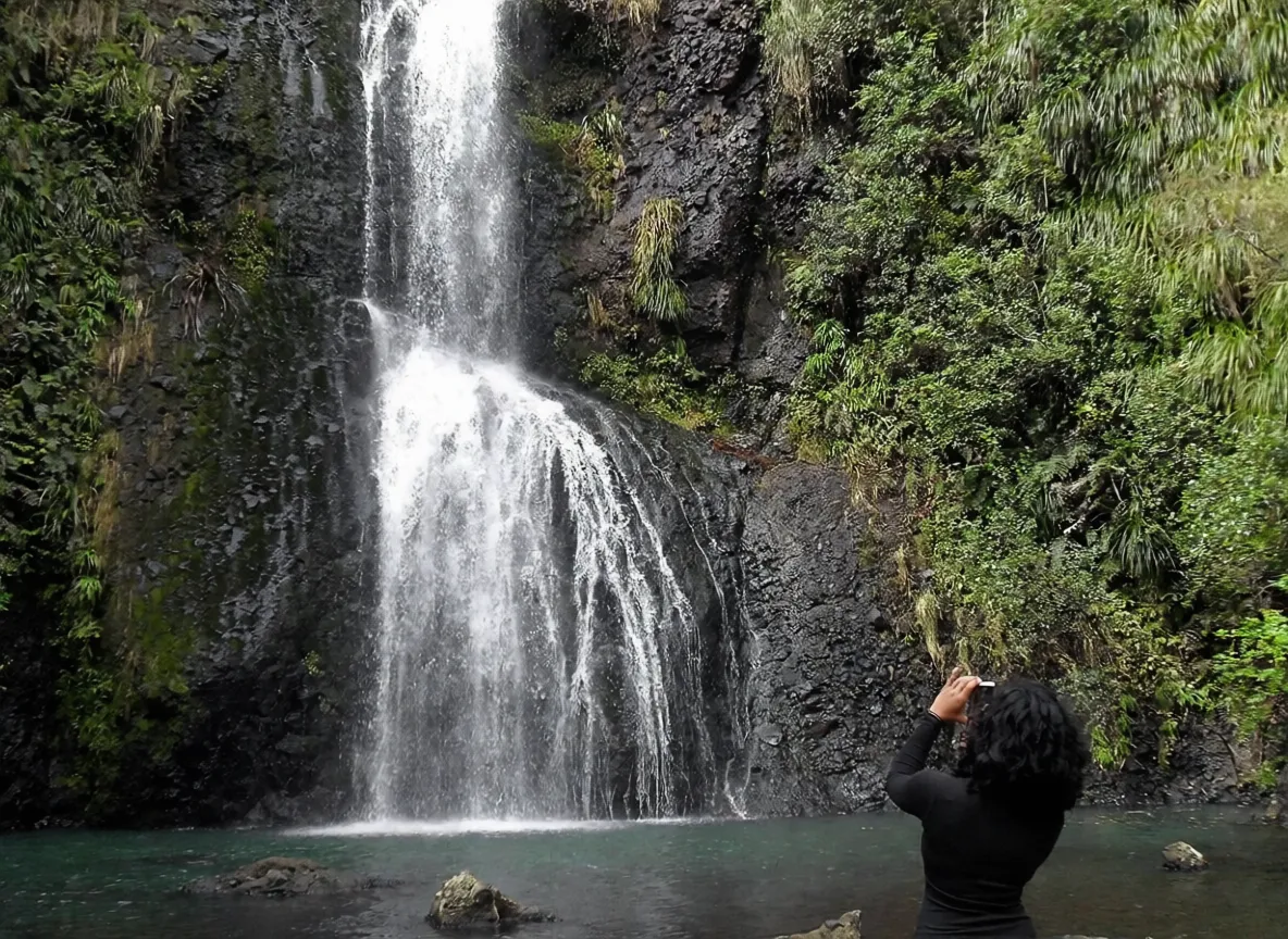 奥克兰 Kitekite Falls Waitakere Ranges