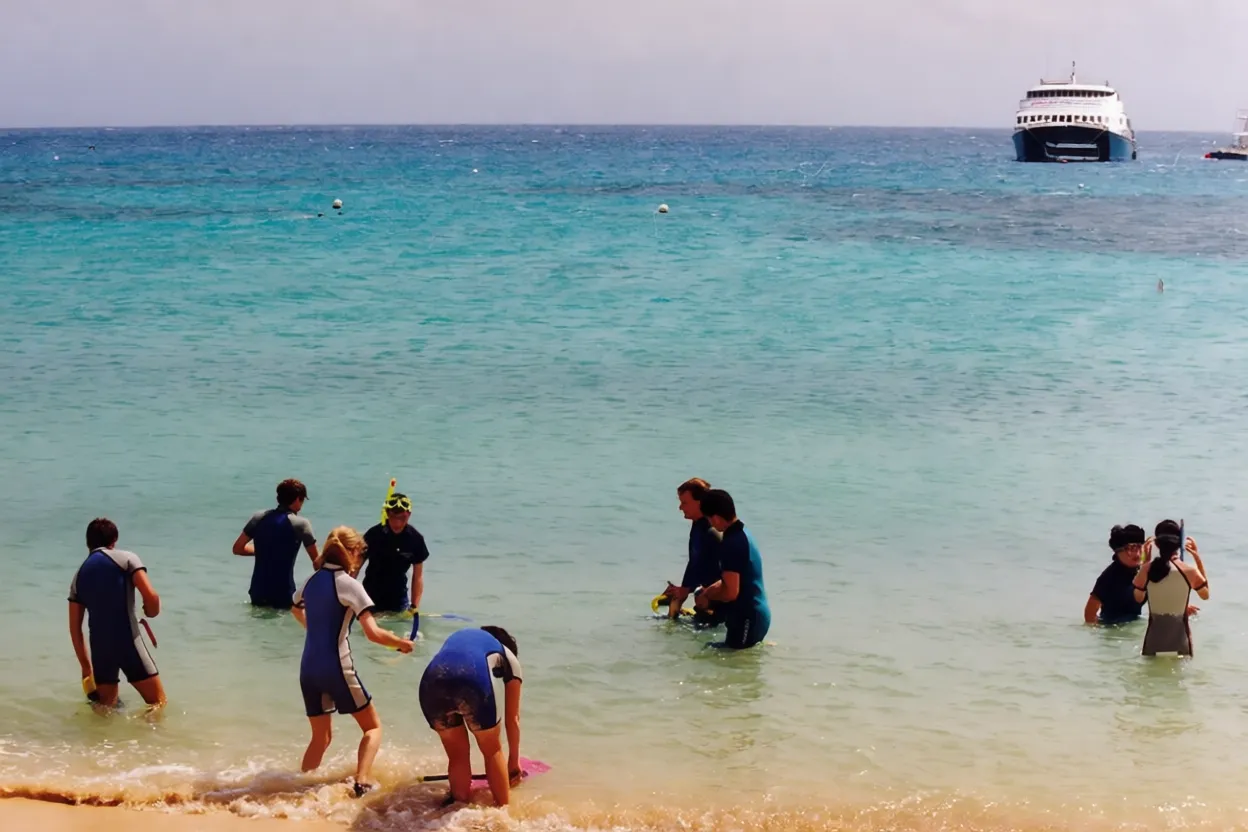 大堡礁 Michaelmas Cay Great Barrier Reef