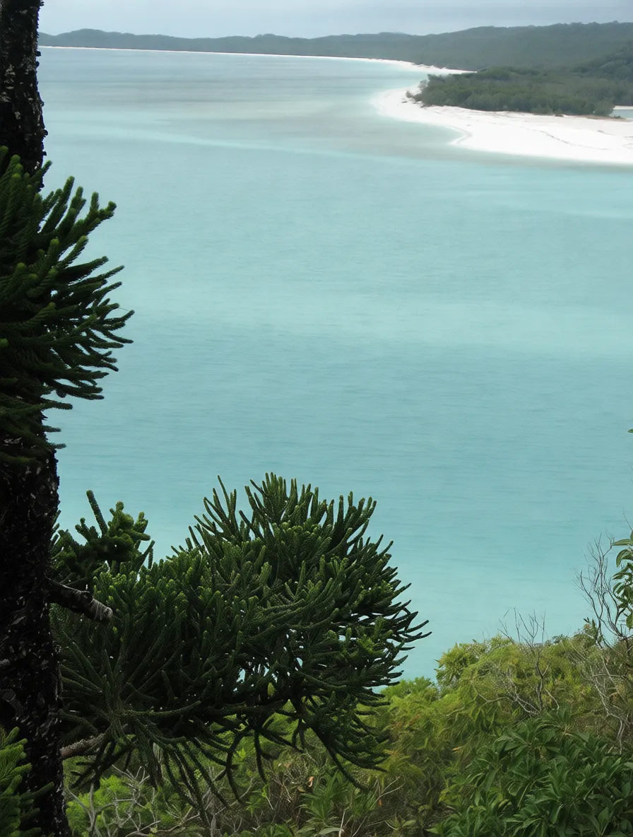 白天堂海滩 Hill Inlet lookout